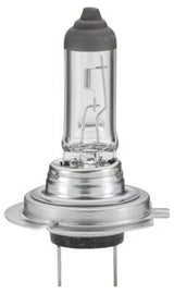 Glühlampe 12V 55W H7