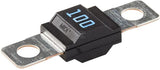 Sicherung, Midi, 100A,  Blau, 41.07mm, 1Stk., Hella