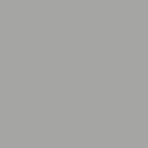RAL 9006 Weißaluminium 1 L