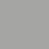 RAL 9006 Weißaluminium 1 L