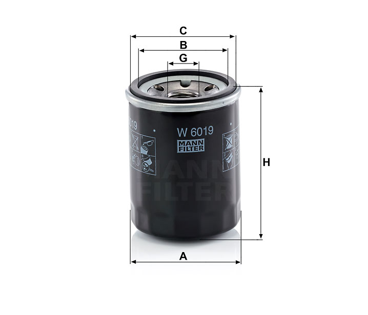 W 6019 Wechselfilter