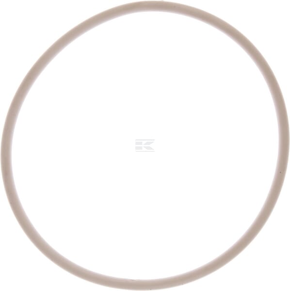 O-Ring 123,19 x 5,33