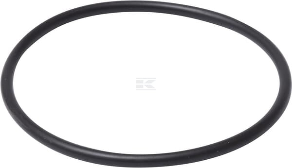 Ring 89X4,5