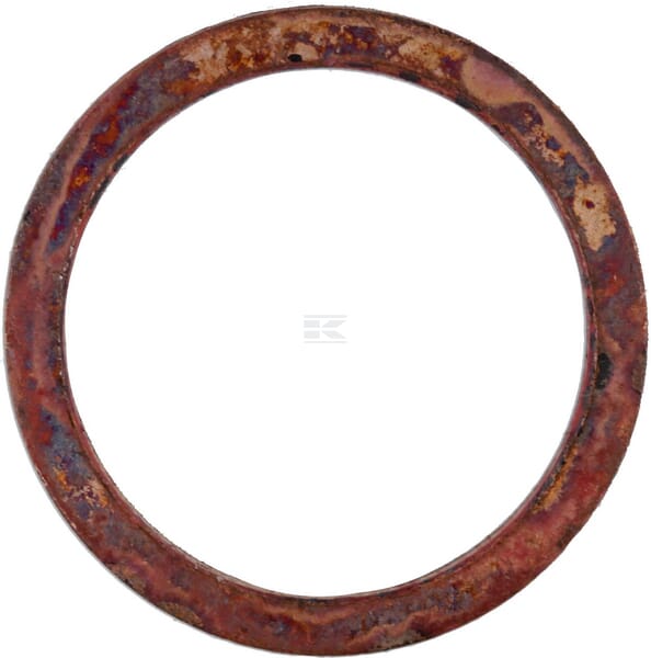 Dichtring