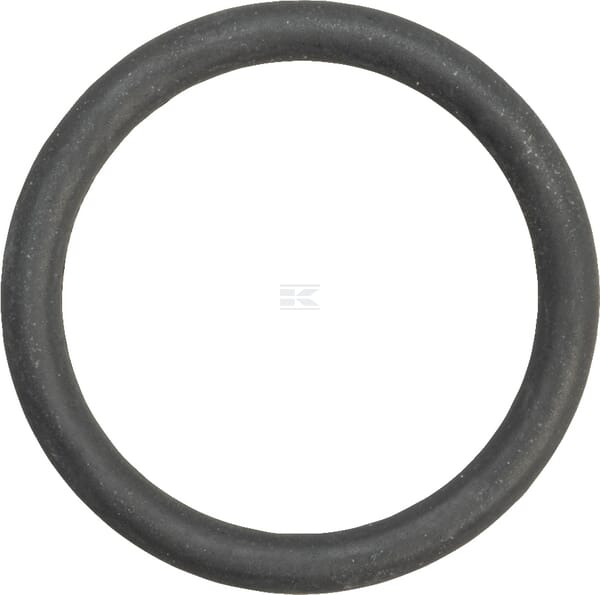 Dichtungsring