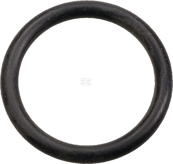 Dichtungsring