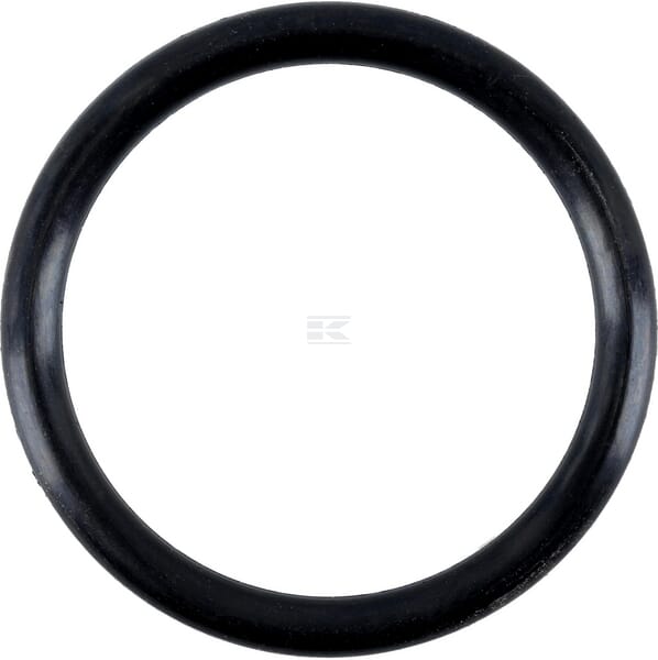 Dichtring