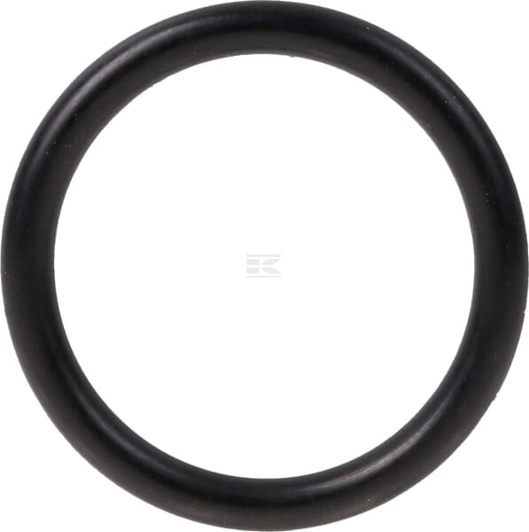 Dichtungsring