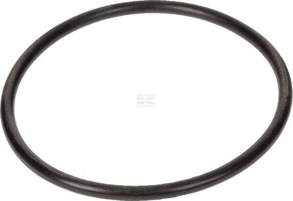 Dichtungsring