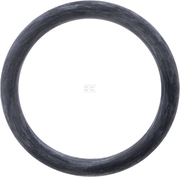 Dichtungsring