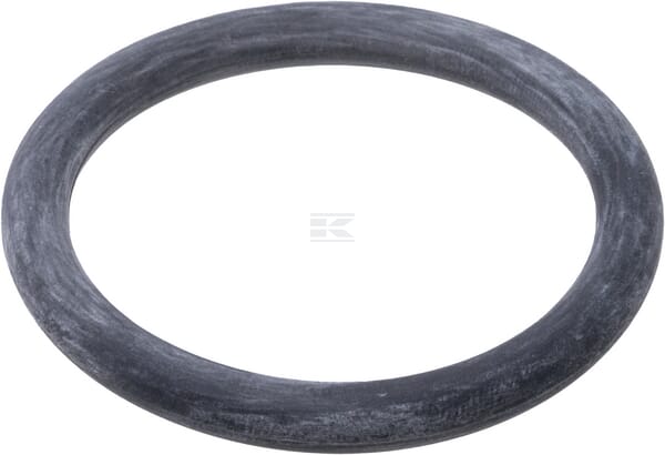 Dichtungsring