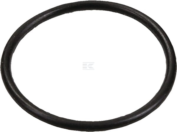 Dichtungsring