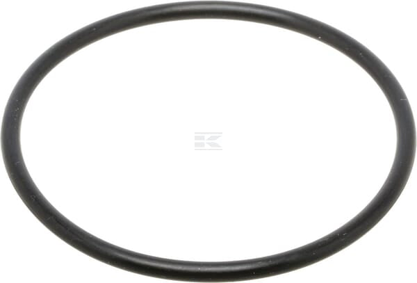 Dichtungsring