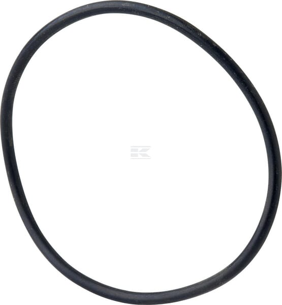Dichtungsring