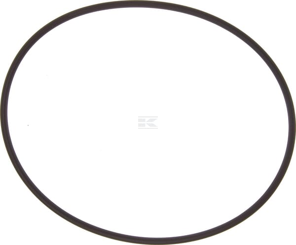 Dichtungsring