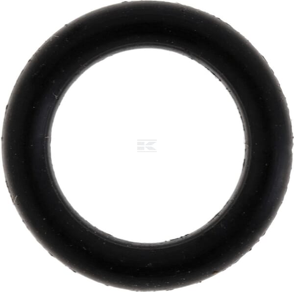 Dichtring