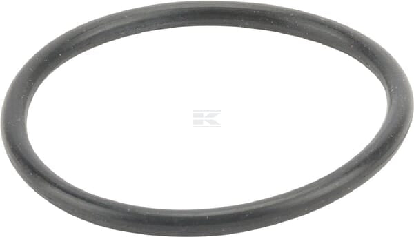 Dichtungsring