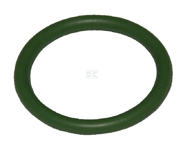 O-Ring
