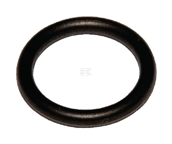 O-ring