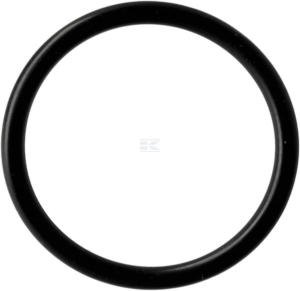 Dichtring