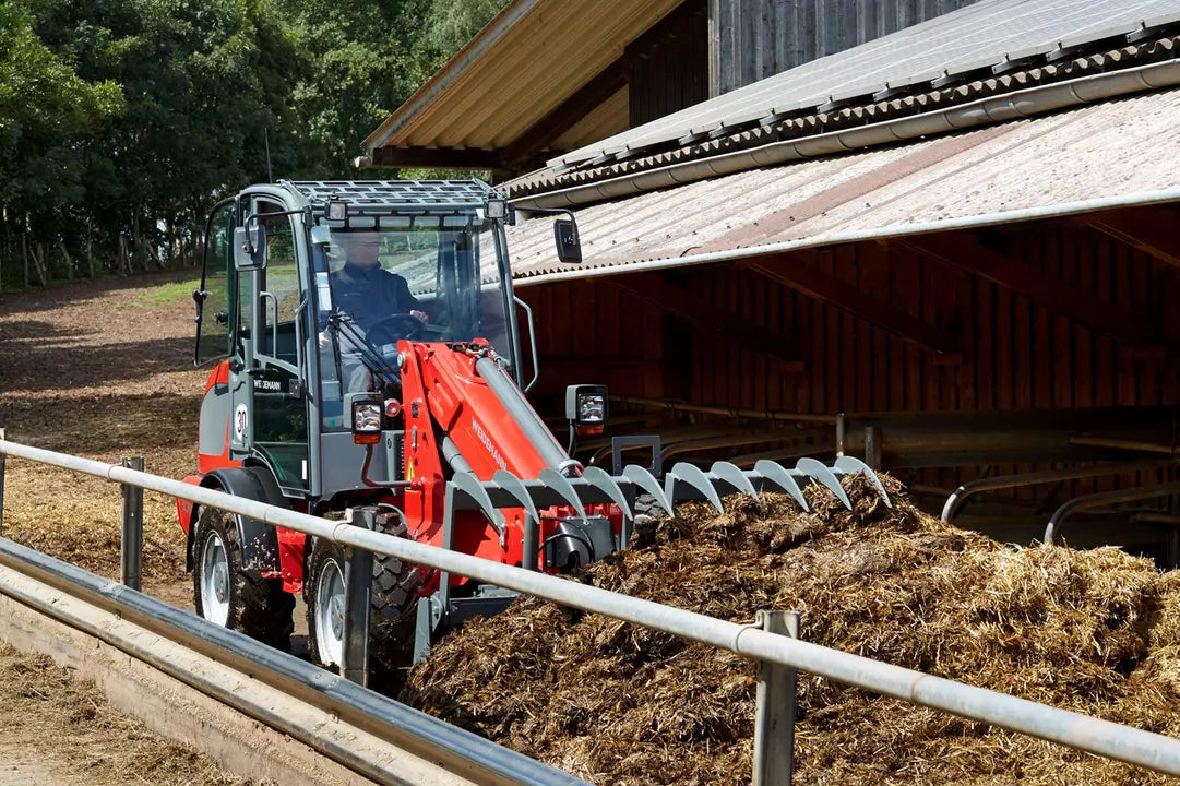 Weidemann Krokodilgebiss groß