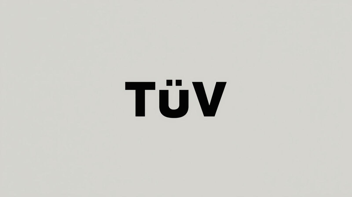 TÜV Prüfung