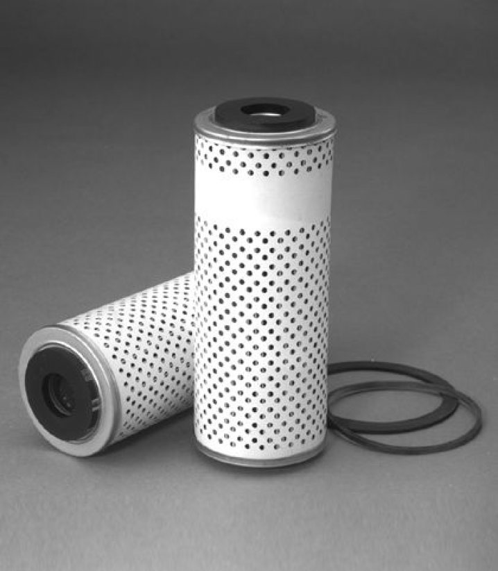 P550685 Kraftstoff-Filterelement