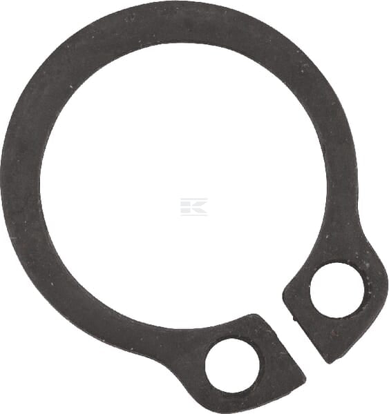 Seegerring