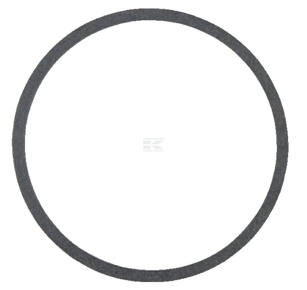 Dichtring