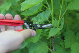 Ernteschere 190 mm, gerade, rot