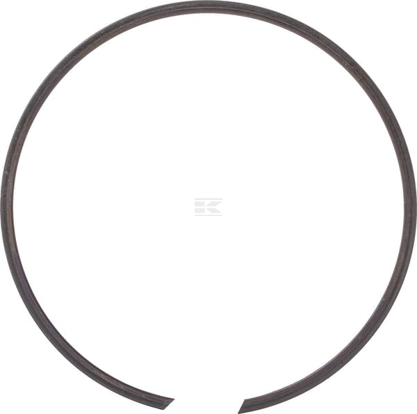 Sicherungsring innen 100x2,5mm IDC ®