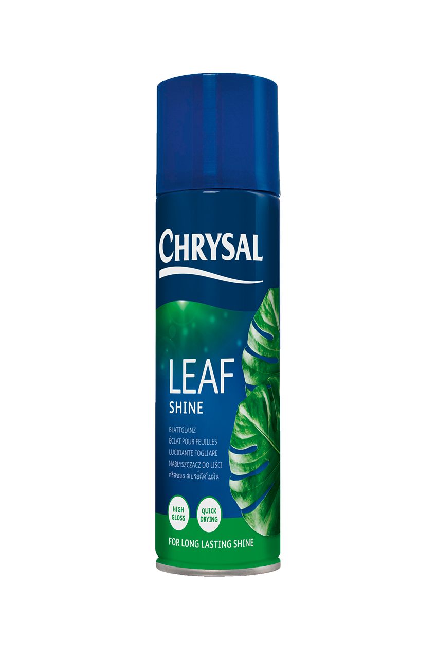 Chrysal Chrysal Blattglanz