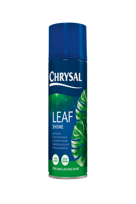 Chrysal Chrysal Blattglanz
