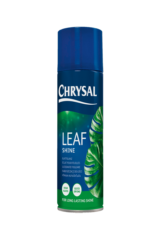 Chrysal Chrysal Blattglanz