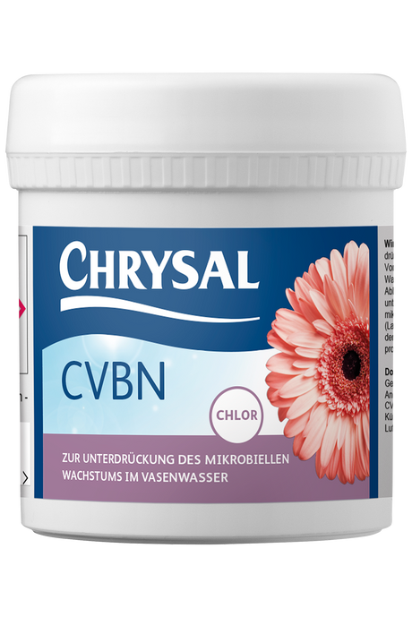 Chrysal Chrysal CVBN Gerbera Vorbehandlung
