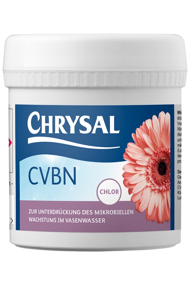Chrysal Chrysal CVBN Gerbera Vorbehandlung