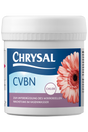 Chrysal Chrysal CVBN Gerbera Vorbehandlung