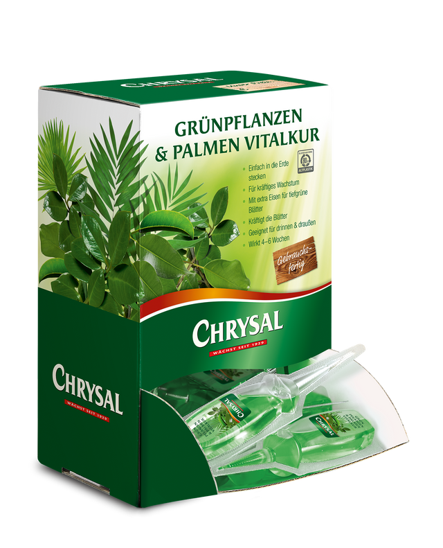 Chrysal Chrysal Grünpflanzen & Palmen Vitalkur