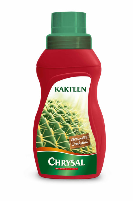 Chrysal Chrysal Kakteen