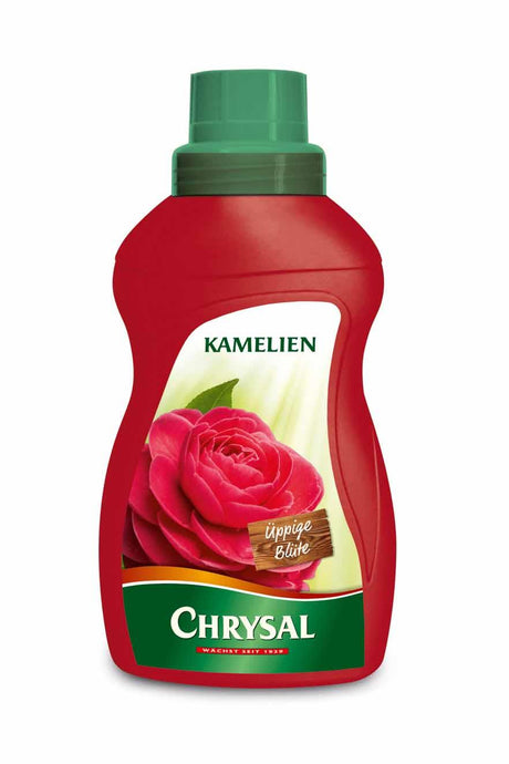 Chrysal Chrysal Kamelien