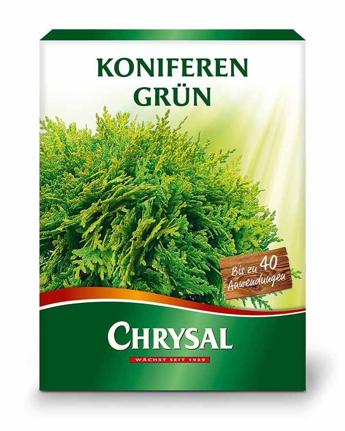 Chrysal Chrysal Koniferen Grün