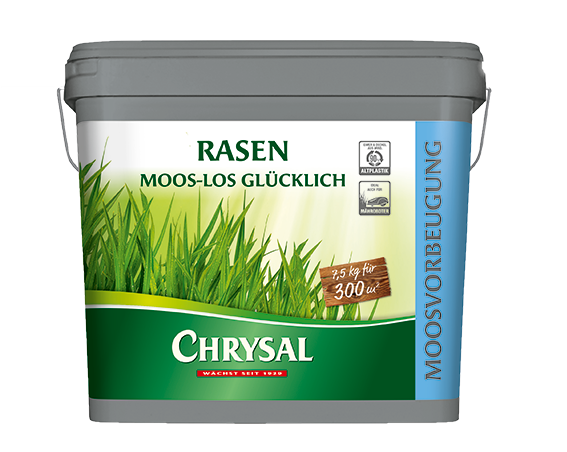 Chrysal Chrysal Moos-los glücklich