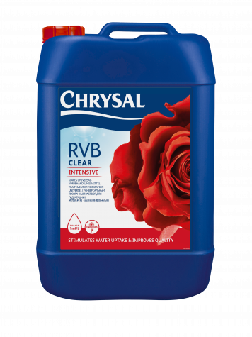 Chrysal Chrysal RVBC Intensive Rosen Vorbehandlung