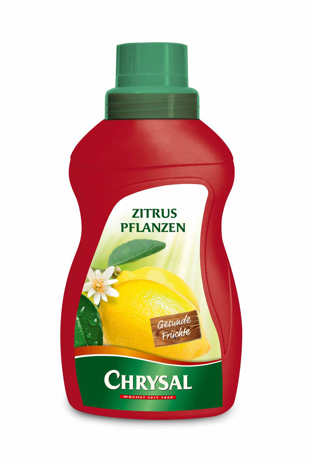 Chrysal Chrysal Zitruspflanzen