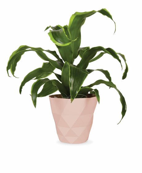 Deco Wraps Deco Wraps Geometric Potcover