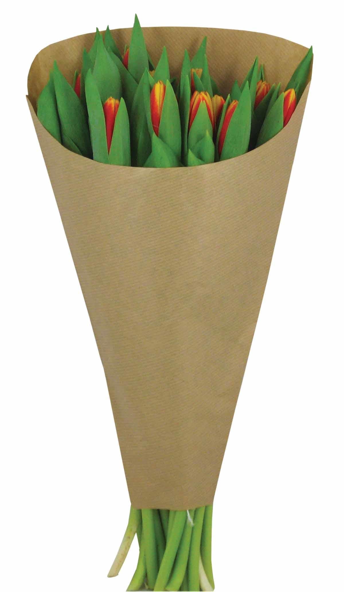 Deco Wraps Deco Wraps Kraft Eco Tulip Sleeve
