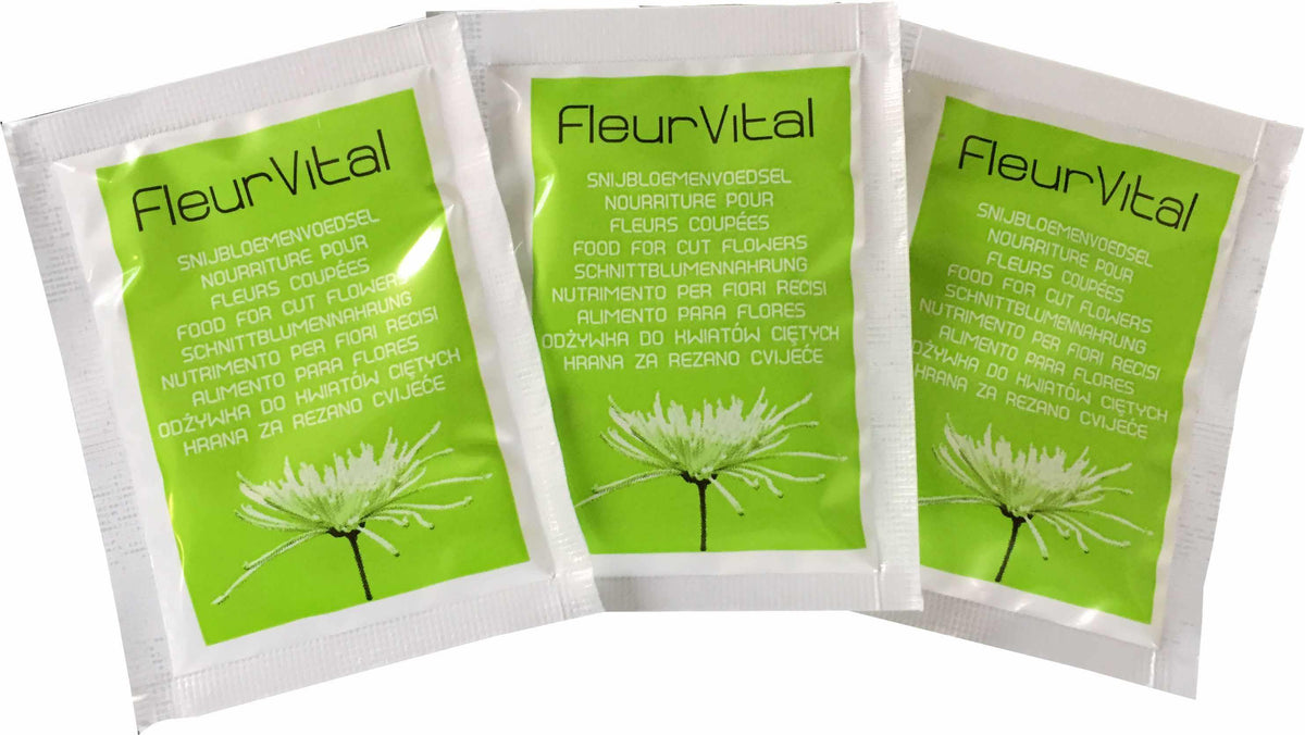 Chrysal Fleur Vital Pulver Tütchen