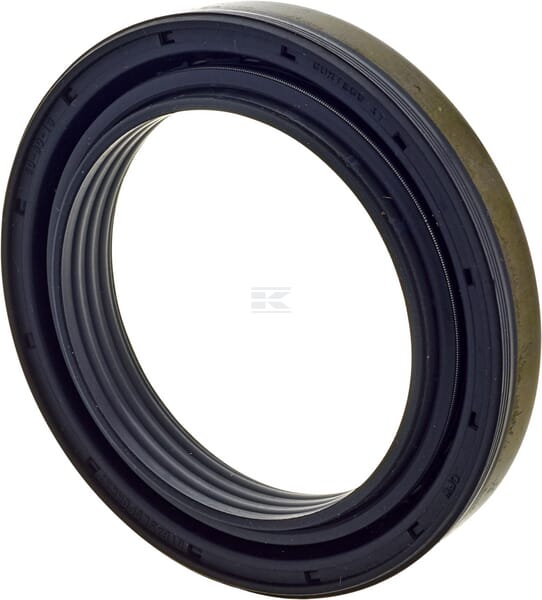 Dichtring