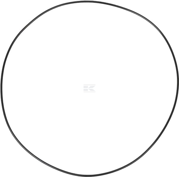 O-Ring