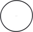 O-Ring